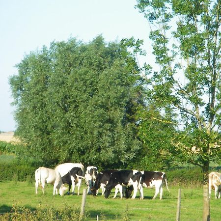 La Vallee Des Trois Monts Saint-Sylvestre-Cappel ภายนอก รูปภาพ