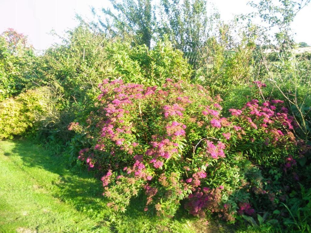 La Vallee Des Trois Monts Saint-Sylvestre-Cappel ภายนอก รูปภาพ