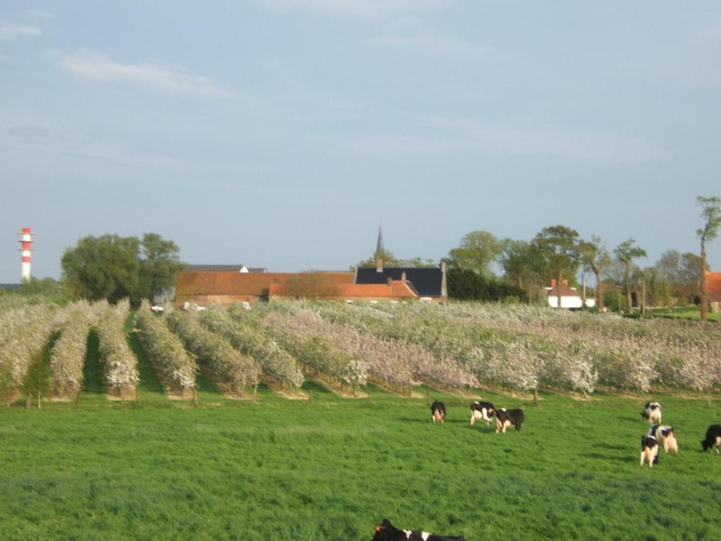 La Vallee Des Trois Monts Saint-Sylvestre-Cappel ภายนอก รูปภาพ